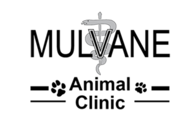Mulvane Animal Clinic
